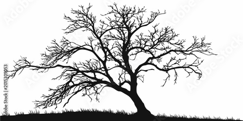 Tablou pe pânză Gnarled bare tree silhouette with windswept branches on a grassy mound vector il