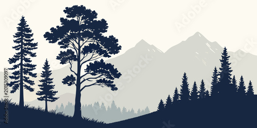 Photos Silhouetted forest landscape with pine and deciduous trees against distant misty
