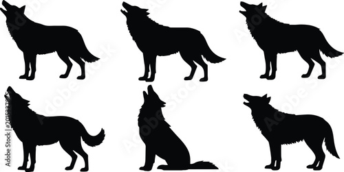 Obraz na płótnie wolf silhouette poses standing howling sitting profile vector