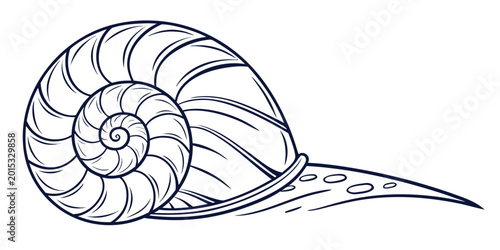 Foto Minimalist spiral snail shell line art vector illustration with illustration cre
