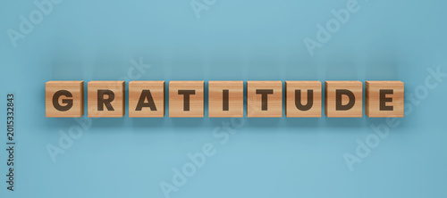 Photos Gratitude Blocks: Wooden blocks spell out the word gratitude against a serene, light blue backdrop