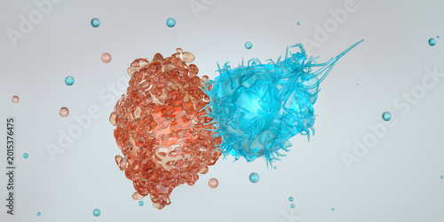 Fotografía Cytotoxic T cells (blue) attack a cancer cell (red)