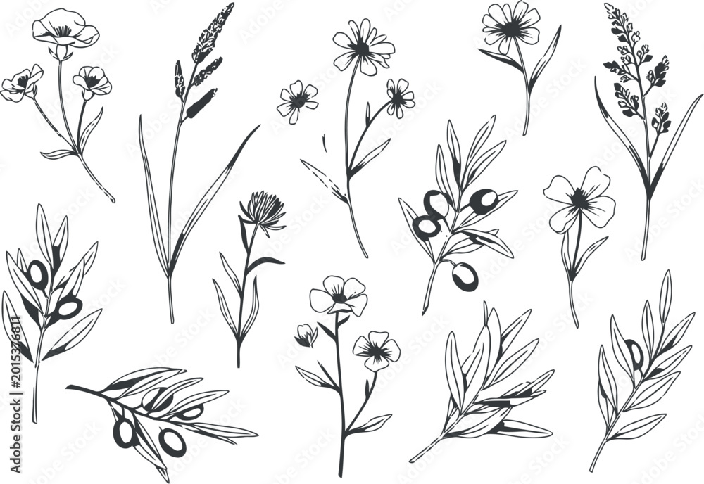Obraz premium A collection of delicate hand drawn floral and botanical sketches isolated on a white background