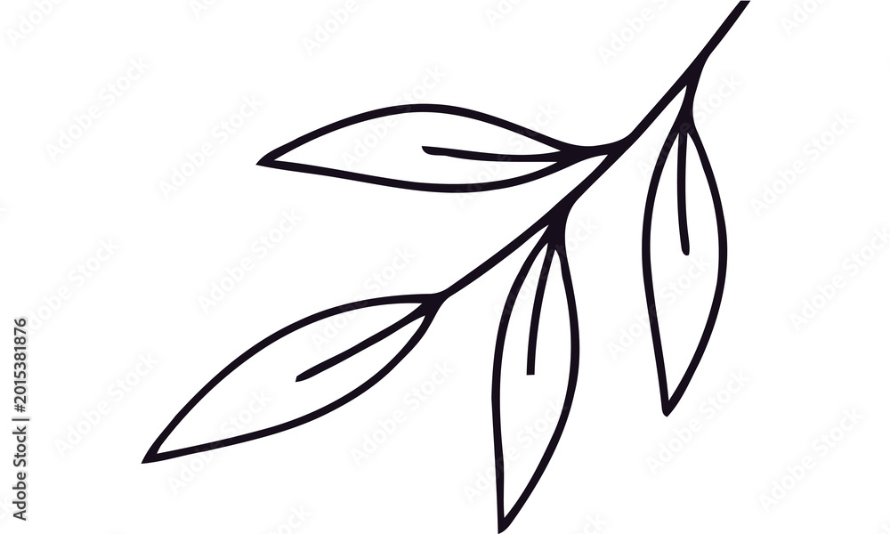 Obraz premium Simple line drawing of a branch with leaves isolated on transparent background