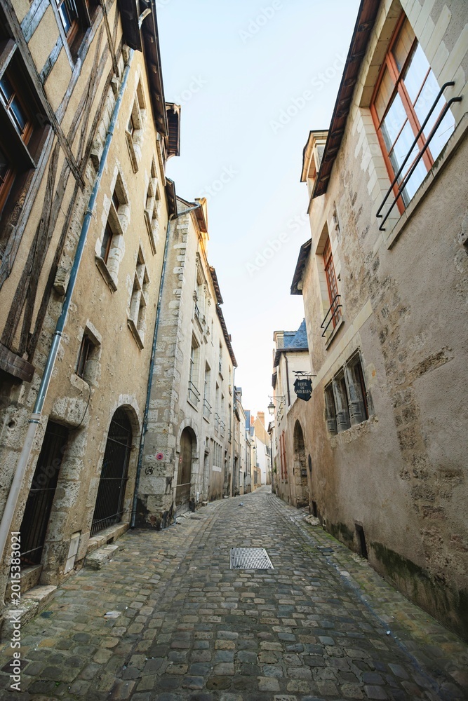 Fototapeta premium A charming alley in Blois, lined with historic buildings, offers a glimpse into the essence of French architecture. Sunlight bathes the cobblestones in a soft glow, showcasing quiet beauty