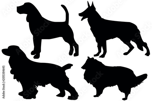 Photography A black vector illustration featuring silhouettes of various canine breeds and w