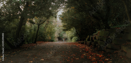Принти на полотні Jesmond Dene