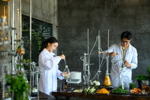 Fototapeta Two Asian Scientists in Lab Coats Conducting Herbal Extraction Research with Glass Distillation Equipment and Fresh Botanicals