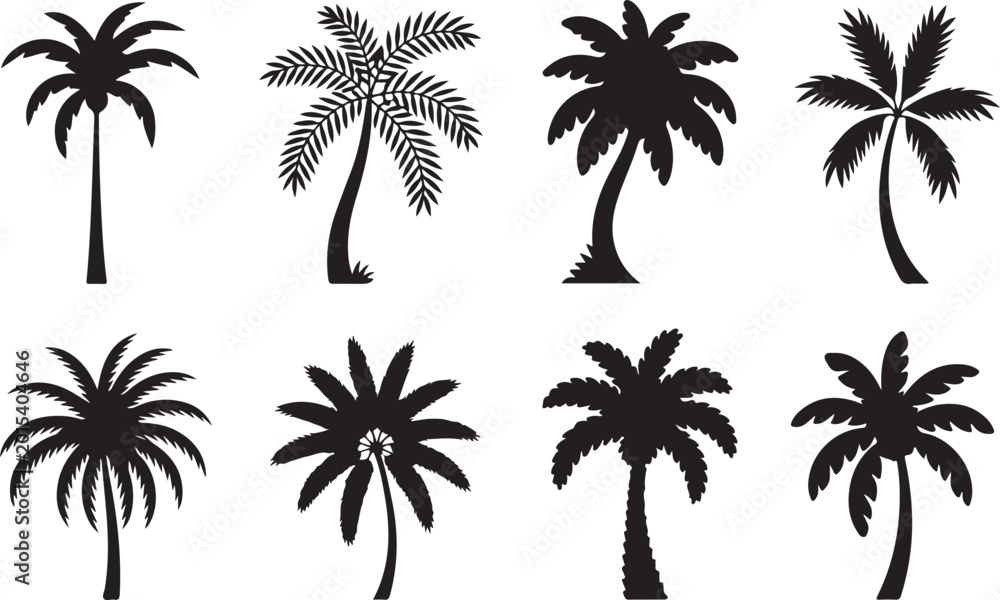 Fototapeta premium Set of black palm trees silhouette isolated on transparent background tropical vacation and exotic travel symbols.
