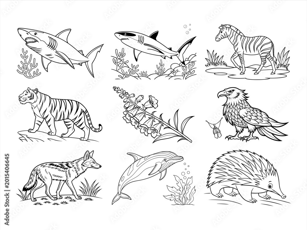 Naklejka premium coloring page line art the bird and animal black vector bundle