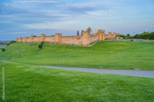 The chellah necropolis Roman ruins at Rabat the capital of Morocco, an archaeological site containing Roman ruins and 14th-century Merenid royal tombs