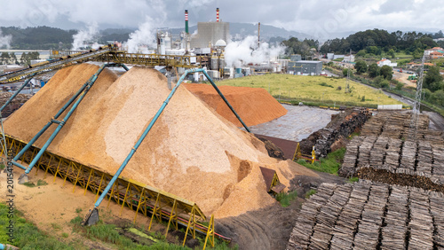Billede på lærred Ence pulp factory processing wood chips in pontevedra