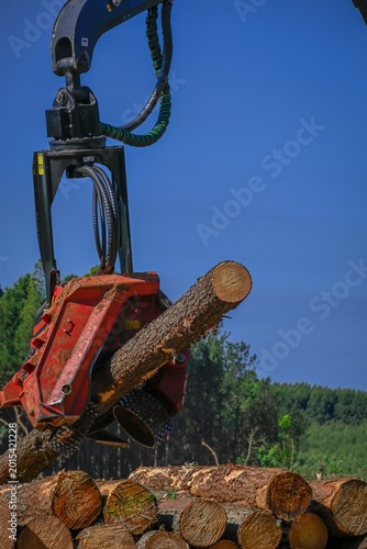 Forest Machine Logging Equipment Timber Harvesting