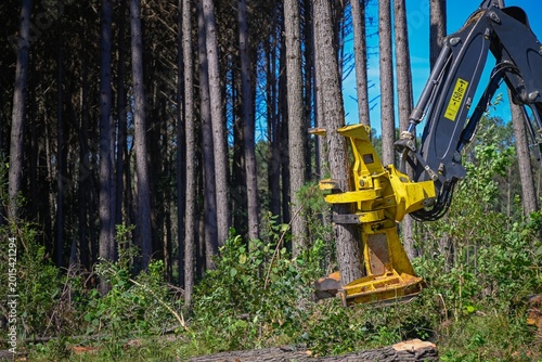 Forest Machine Logging Equipment Timber Harvesting