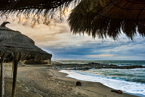 Beach parasols on sandy shore at sunset