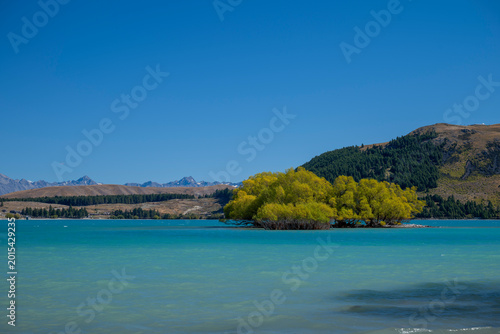 Lake Tekapo