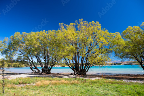 Lake Tekapo