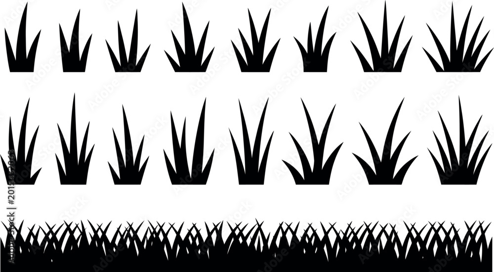 Obraz premium Collection of various grass silhouettes on white background plants and flowers
