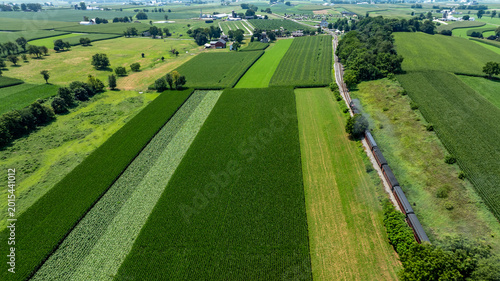A train moves along a track that cuts through large green fields in a rural area. The scenery shows crops growing in neat rows under clear skies during summer.