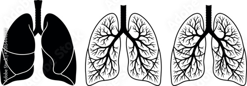 Canvastavla Human Lungs Anatomy Vector Set Featuring Detailed Bronchial Tree Silhouettes and