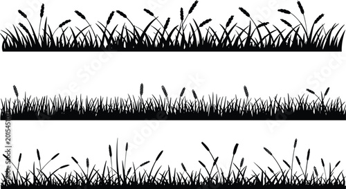 Black grass silhouette borders, meadow field lawn horizontal elements, wild herb plants, nature landscape floral decoration, outdoor summer.