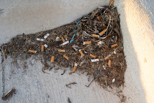 Canvas-taulu Pile Of Trash Leaves Cigarettes And Litter Collected In A Dirty Street Gutter