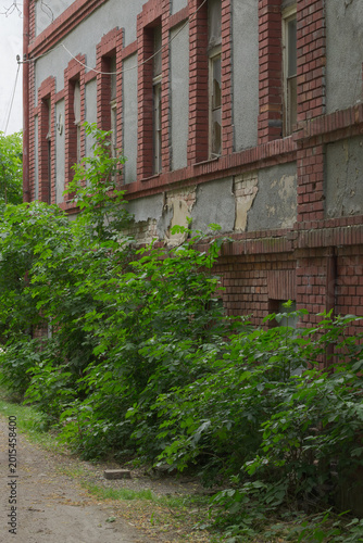 Overgrown building abandoned and unused