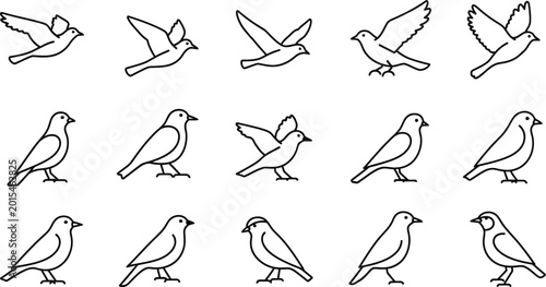 Bild auf Leinwand Bird silhouettes collection flying and perching poses isolated on transparent ba