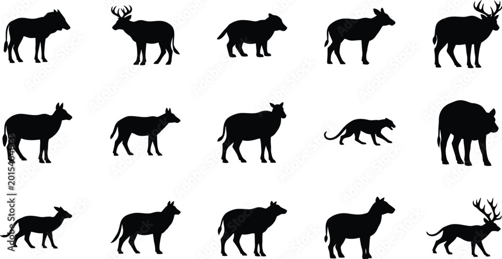 Fototapeta premium Silhouette of various animals isolated on transparent background