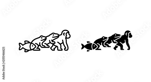 Foto Evolutionary Stages: Fish, Frog, Dog, Ape Vector Icons