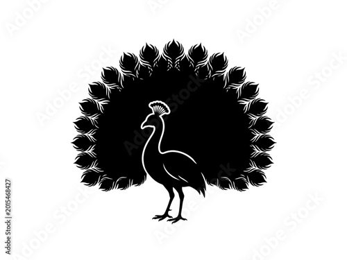 Peacock standing with spread tail feathers in black and white isolated on transparent background, Vector