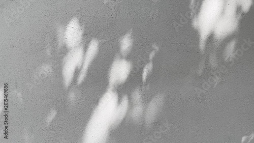 Soft Light and Shadow Overlay