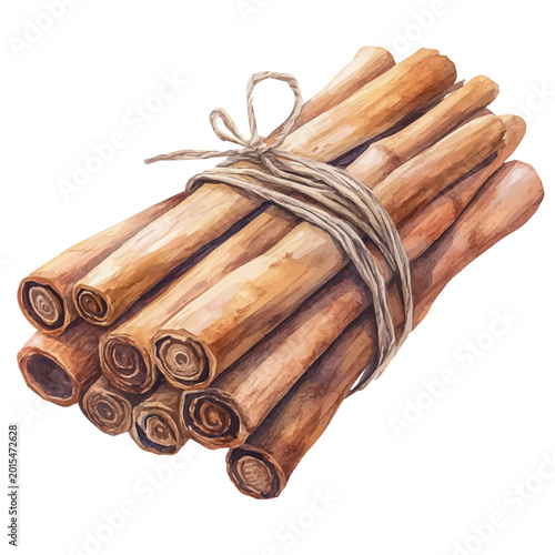 watercolor of Cinnamon Sticks, vector clipart, isolated on a white background.