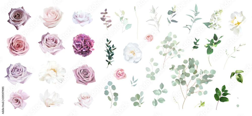 Fototapeta premium Muted purple hydrangea, white and blush pink roses, white peony, magnolia, carnation vector design elements big set. Eucalyptus, Floral summer watercolor wedding. Elements are isolated and editable