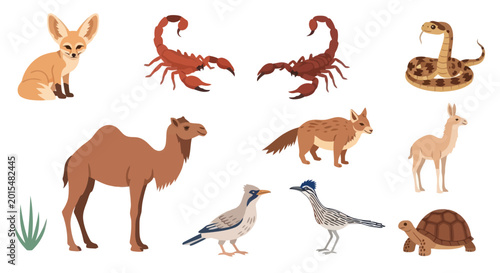 Cuadro en lienzo Desert Animals Collection: Fennec Fox, Scorpion, Snake, Camel, Coyote, Llama, To