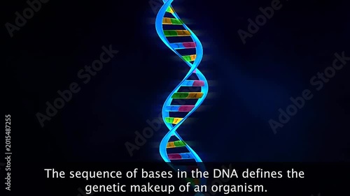Genetic make up of an organism and human karyotype