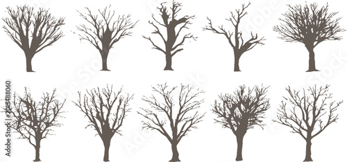 Photos Set of bare tree silhouettes without leaves in winter or autumn natural landscape vector illustration