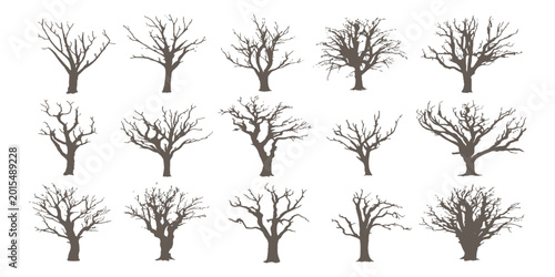 Schilderij op canvas Set of bare tree silhouettes without leaves in winter or autumn natural landscape vector illustration