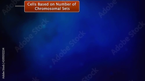 Cells based on number of chromosomal sets