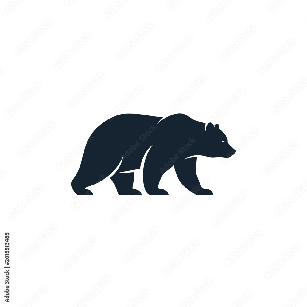 Fototapeta premium Black bear walking profile view.