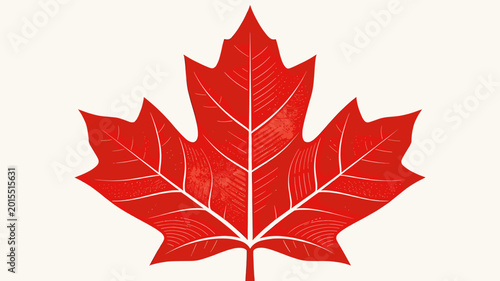 Tableau sur toile A vibrant red maple leaf, a prominent symbol of Canada, is depicted against a plain, light-colored background