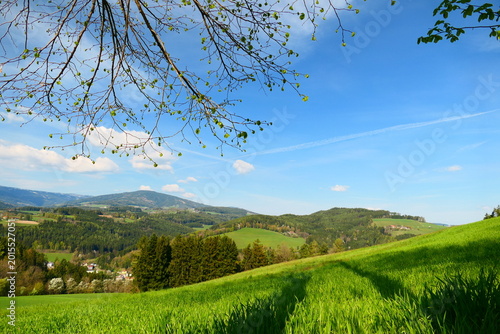 Bucklige Welt - Landschaft im südlichen Niederösterreich