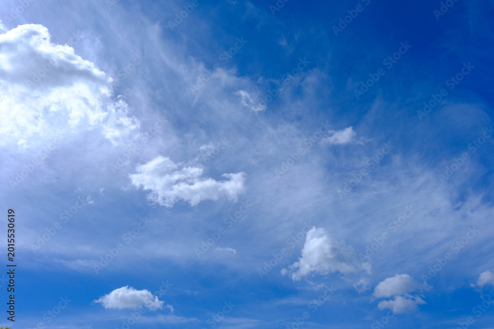 Fototapeta premium 初夏の青空と白い雲