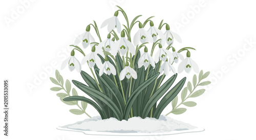 Tableau sur toile Snowdrops emerge from snow in a serene vector illustration of winter flowers