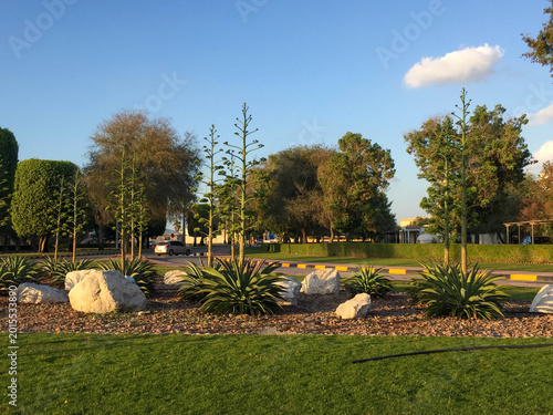 Green garden at the sunset