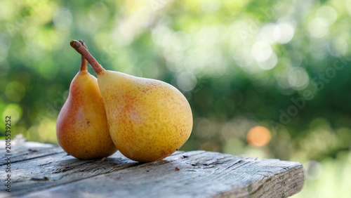Two ripe yellow pears on a rustic wooden table outdoors