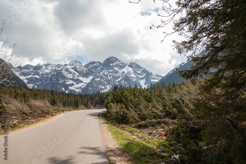 Scenic view of a winding road leading through lush green forest with snow-capped mountains in the background under a partly cloudy sky