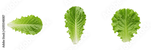 Fotografie Romaine Lettuce Leaf PNG - Green Salad Crunchy Vegetable Leaf, Fresh Organic Nut
