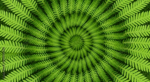 Radiating fern fronds create a mesmerizing circular pattern, showcasing the intricate beauty of nature's geometry and the vibrant green hues of flourishing plant life.
