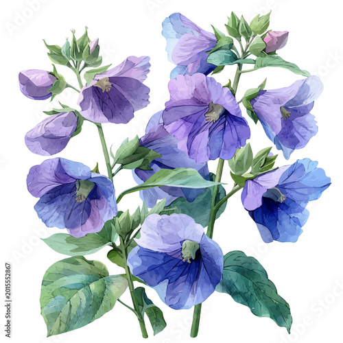 Foto watercolor of Garden Pea Flower illustration, isolated on a white background